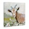 Stupell Industries Pastoral Goat & Daisy Canvas By Susan Winget